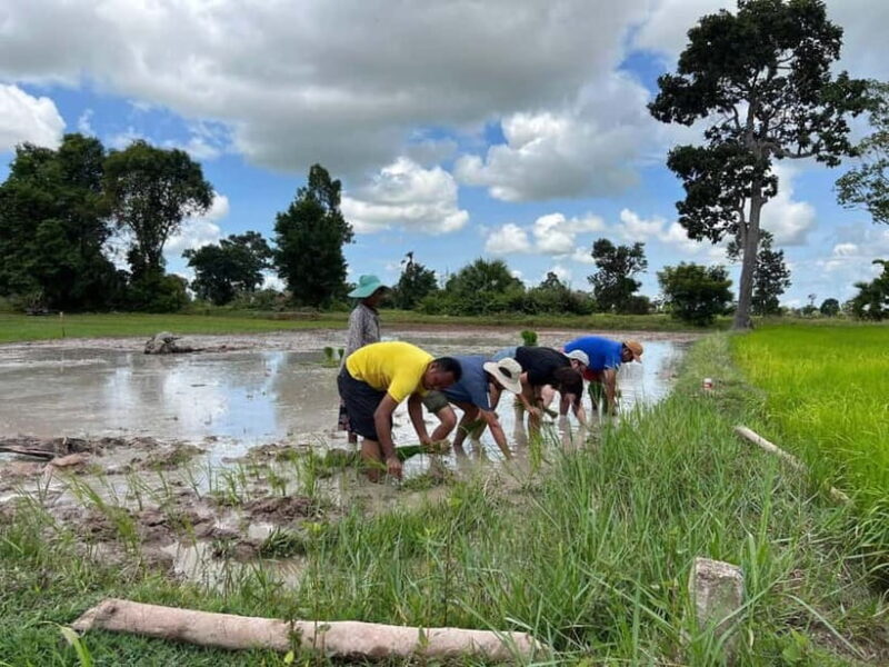Phnom Penh: Hidden Gems Walking Tour with Local Guide - Key Points