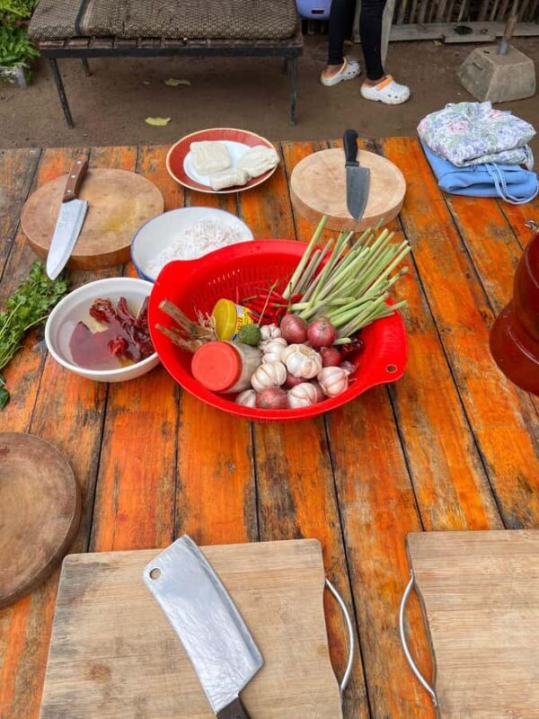 Phnom Penh: Mekong Village Cooking Escape and Night Stay - Authenticity and Guest Experience