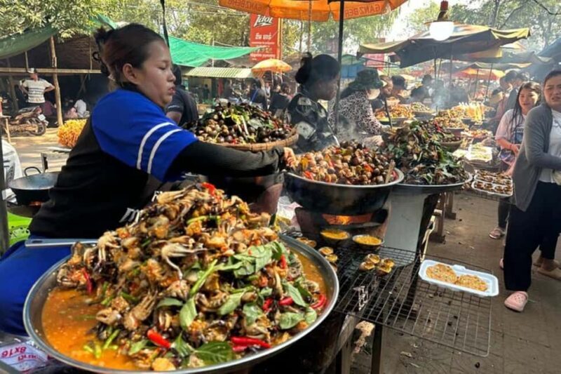 Phnom Penh: Oudong Mountain and Temples Guided Day Trip - What Makes This Tour Stand Out?  