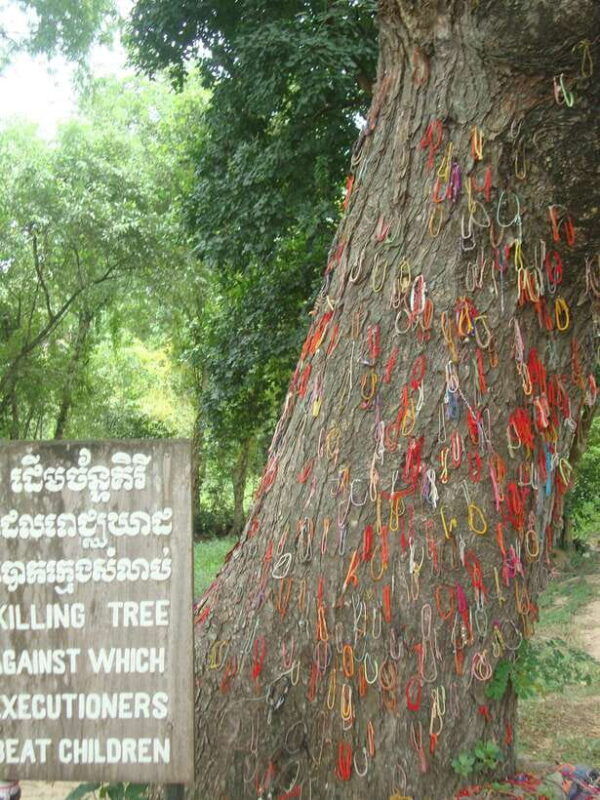 phnom-penh-s-21-prison-and-killing-fields-half-day-tour