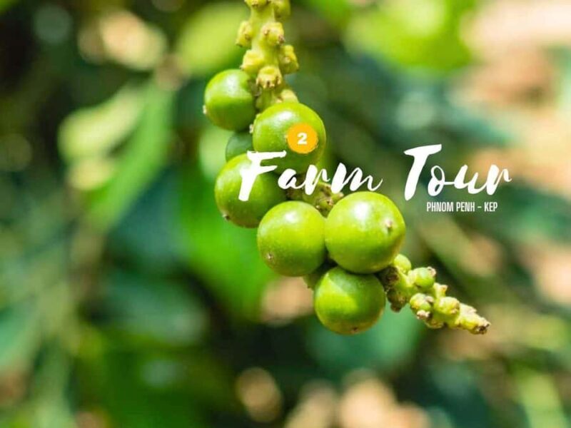 Phnom Penh to Kep Day Trip Scenic Train & Coastal Discovery - Phnom Penh to Kep Day Trip Scenic Train & Coastal Discovery