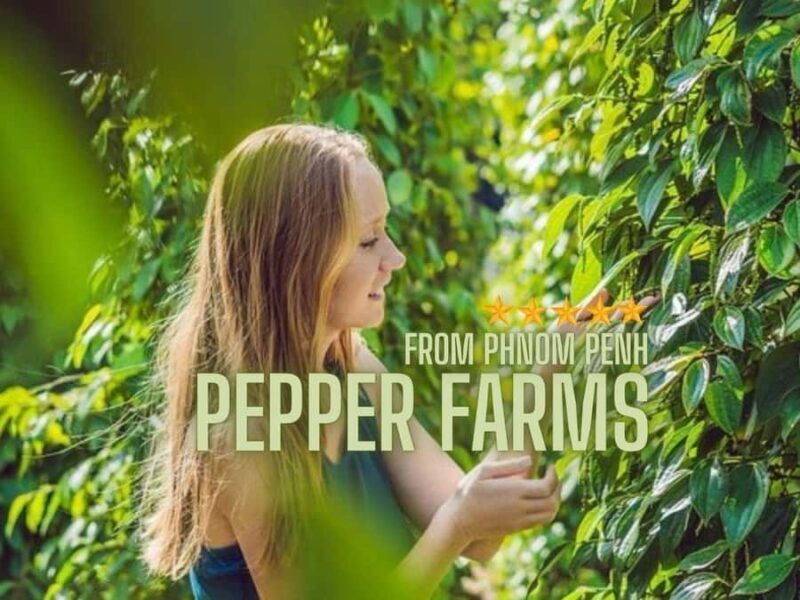 Phnom Penh to Kep Day Trip Scenic Train & Coastal Discovery - Key Points