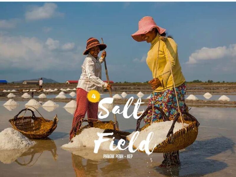 Phnom Penh to Kep Day Trip Scenic Train & Coastal Discovery - Practical Tips and Considerations