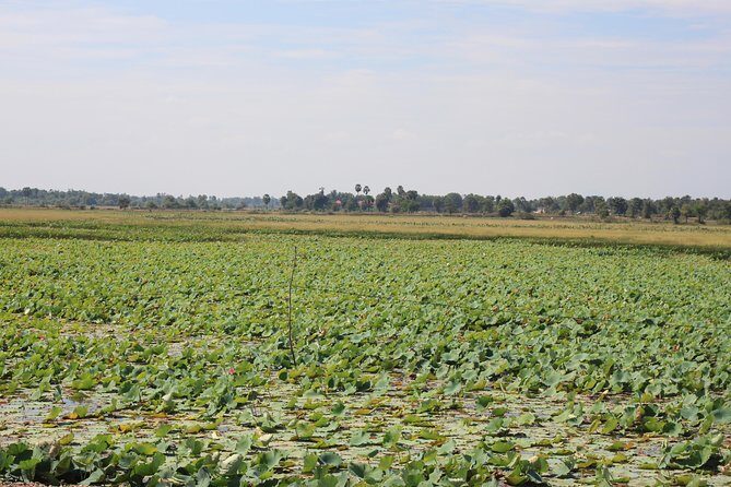 Phnom Penh to Siem Reap Cycling Tour - What Makes This Tour Stand Out?