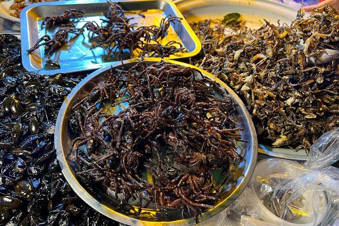 Phnom Penh to Siem Reap Private Car Transfer - Who Should Consider This Service?