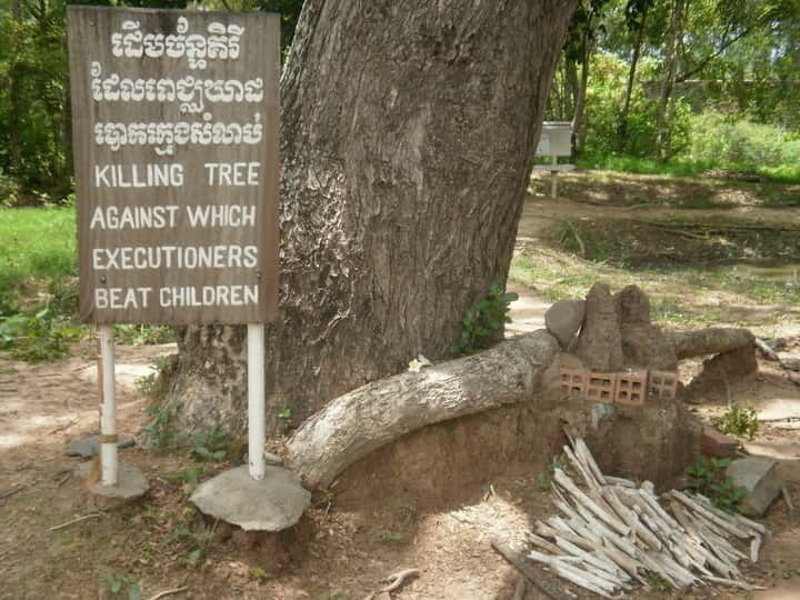 phnom-penhs-killing-fields-4-hour-guided-tour