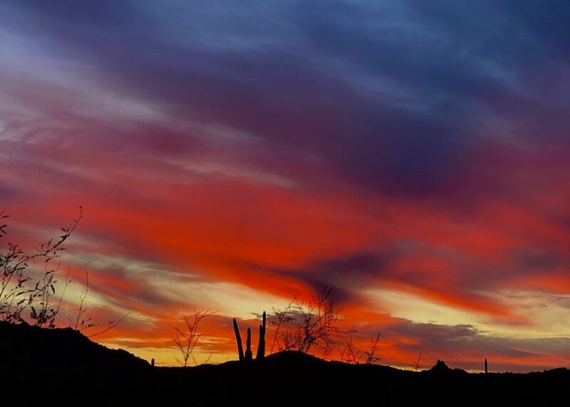 Phoenix: Amazing Two-Hour Guided Hike in the Sonoran Desert - Key Points