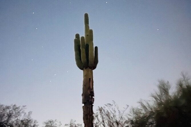 phoenix-mountains-preserve-night-glow-hike
