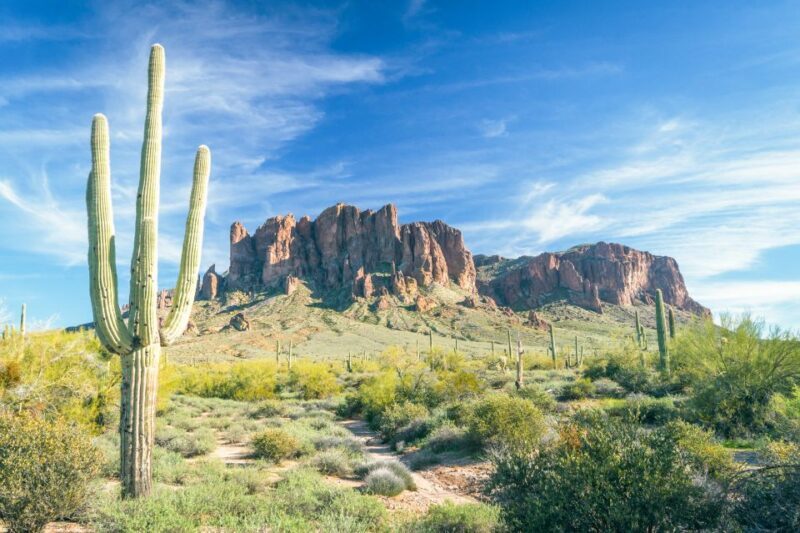 Phoenix/Scottsdale: Apache Trail Tour & Canyon Lake Cruise - Tortilla Flat: The quintessential Wild West Town