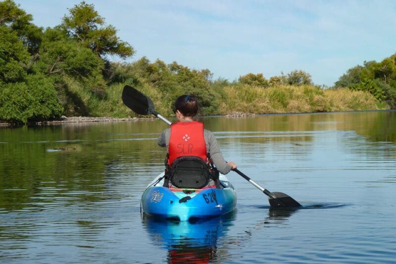 Phoenix: Self-Guided Kayaking Trip to Foxtail - The Value Proposition