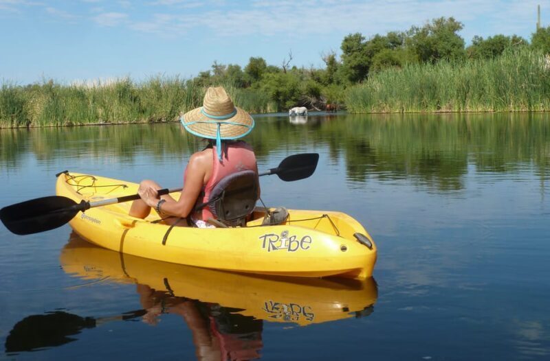 Phoenix: Self-Guided Kayaking Trip to Foxtail - Who Should Consider This Tour?