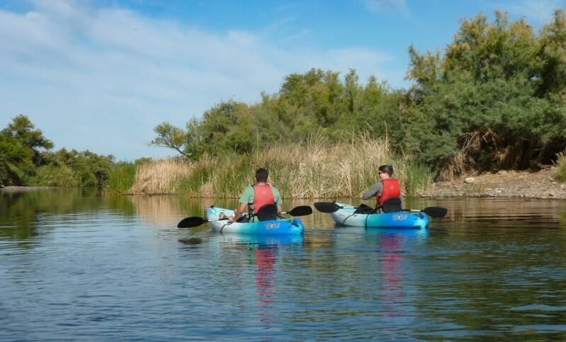 Phoenix: Self-Guided Kayaking Trip to Foxtail - Final Thoughts