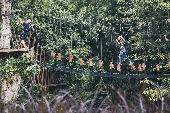 Phoenix Zipline Adventure Park  Chiang Mai Thrills - What Makes This Park Stand Out?