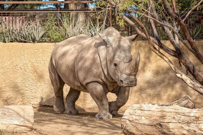 phoenix-zoo-admission-ticket