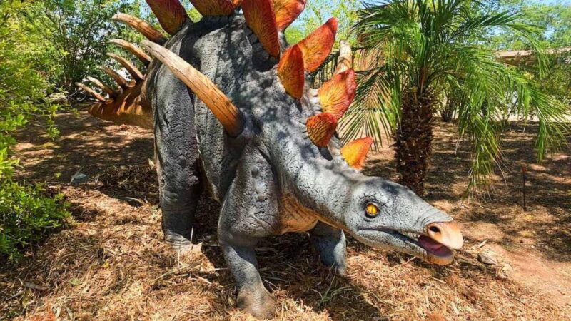 phoenix-zoo-one-day-general-admission-ticket