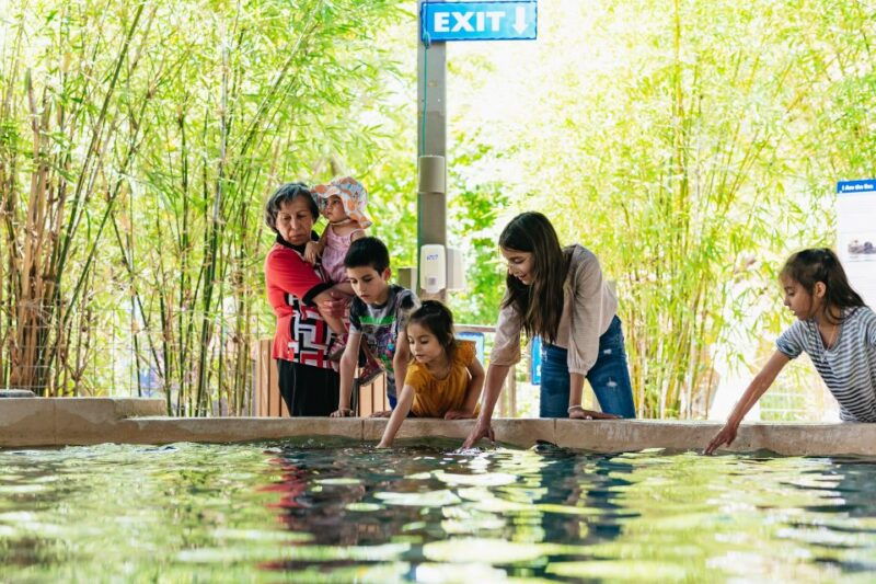 phoenix-zoo-one-day-general-admission-ticket