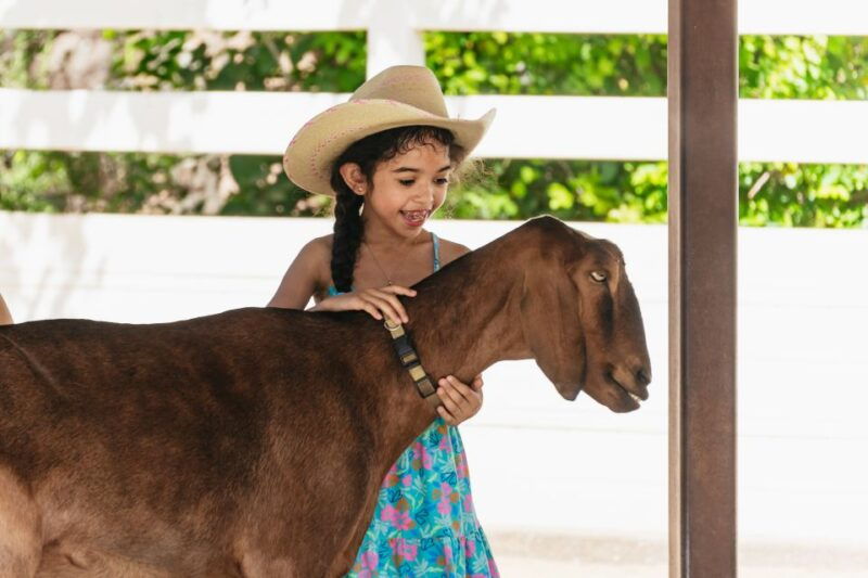 phoenix-zoo-one-day-general-admission-ticket
