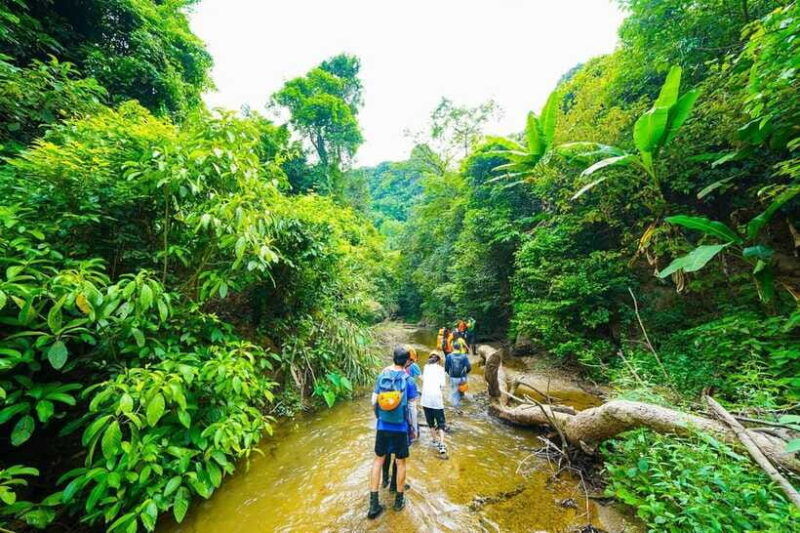phong-nha-elephant-cave-ma-da-valley-jungle-trek-1d