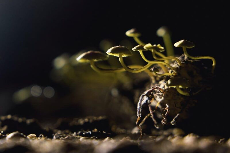 phong-nha-national-park-group-tour