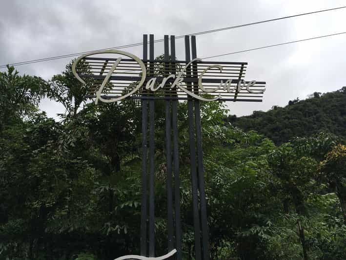 Phong Nha: Paradise Cave and Dark Cave Tour & Lunch Full Day - Who Will Love This Tour?