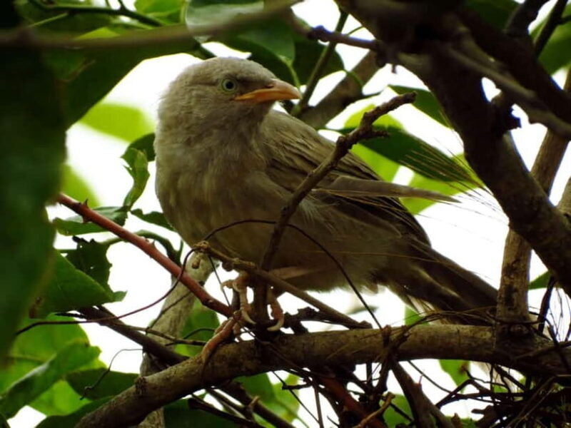 Phong Nha - Paradise Cave & Dark Cave or Duck Farm in needed - Key Points