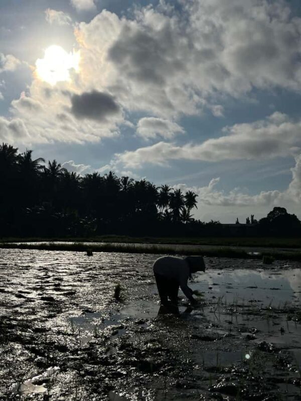 Photo Concept Tour BWI: Sunrise, Culture, and Everyday Life - The Value of a Full-Day Photo Experience