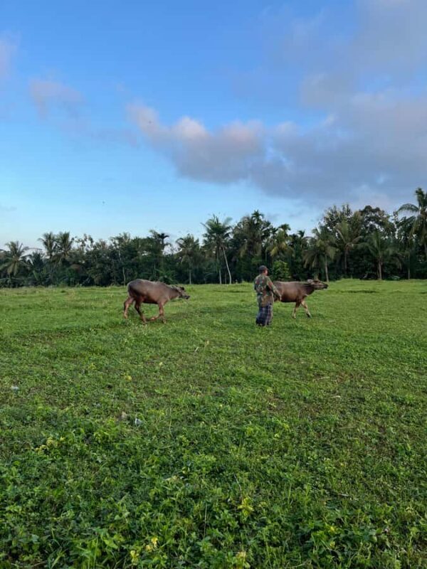 Photo Concept Tour BWI: Sunrise, Culture, and Everyday Life - Who Should Take This Tour?