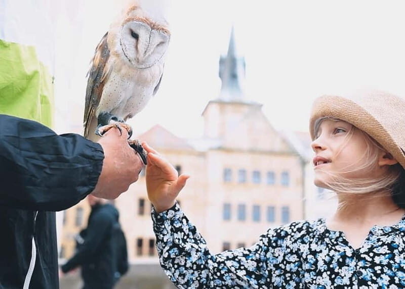 Photo Session in Prague:Shots with Iconic Landmarks - Authentic Insights from Reviewers