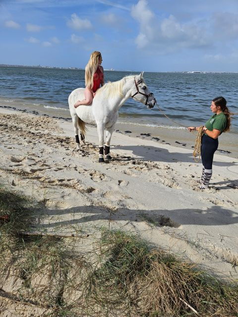 photo-session-with-horses-on-the-beach-or-in-the-countryside