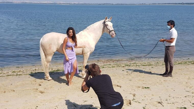 photo-session-with-horses-on-the-beach-or-in-the-countryside