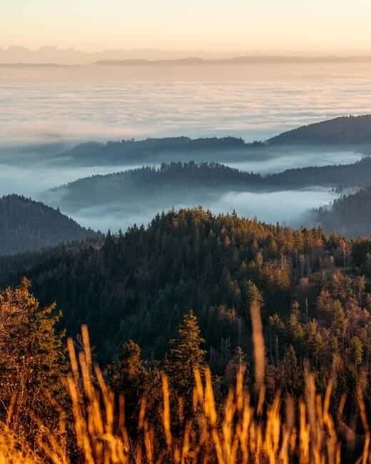 Photo tour through the Black Forest  the highlights - Who Will Love This Experience?