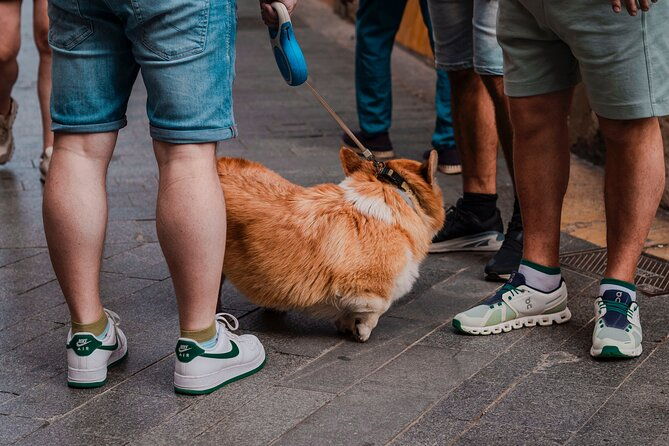 photo-walking-tour-sagrada-familia-and-gaudi-in-barcelona