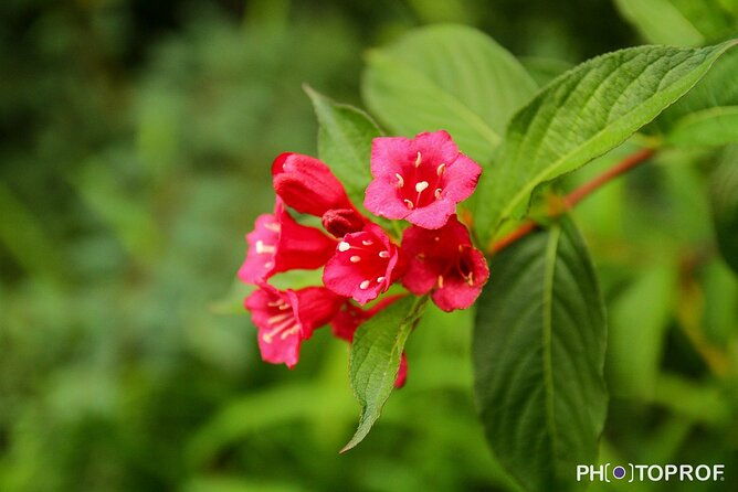 photo-weekend-for-beginners