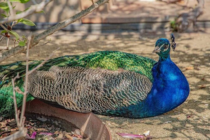 photogenic-prague-6-hours-tour-by-car