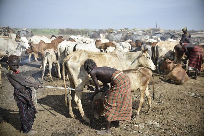 Photography Expeditions to Omo Valley - FAQs