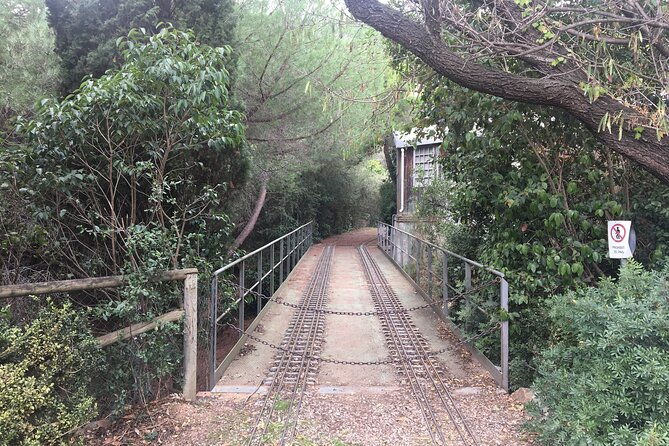 photography-route-through-the-secret-nature-of-barcelona-2