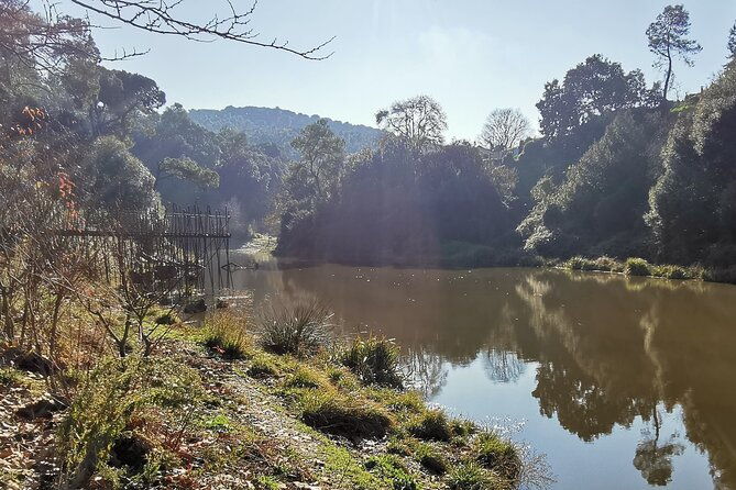 photography-route-through-the-secret-nature-of-barcelona-2