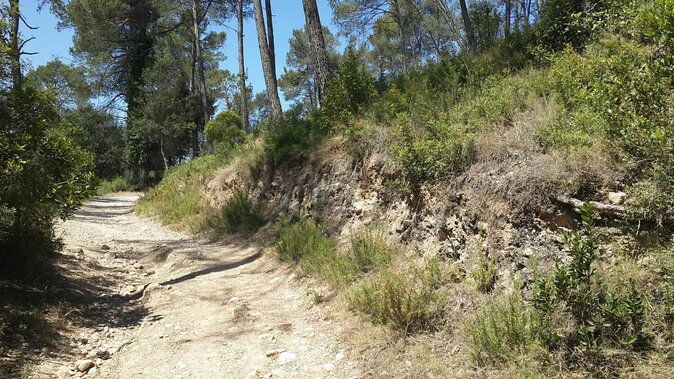 photography-route-through-the-secret-nature-of-barcelona