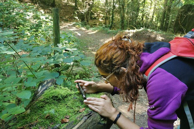 photography-route-through-the-secret-nature-of-barcelona