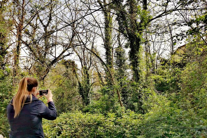 photography-route-through-the-secret-nature-of-barcelona