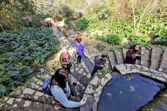 photography-route-through-the-secret-nature-of-barcelona