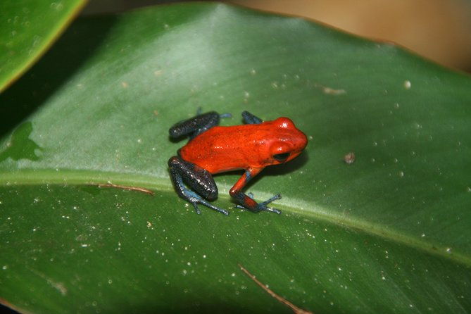 photography-tour-at-natura-eco-park