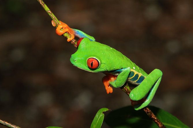 photography-tour-at-natura-eco-park