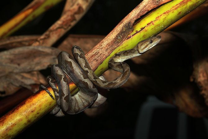 photography-tour-at-natura-eco-park
