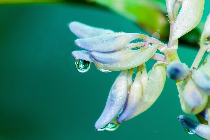 photography-tour-at-natura-eco-park