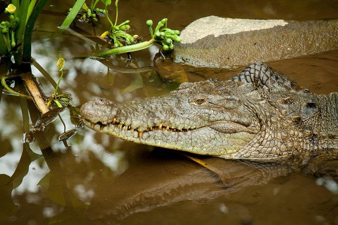 photography-tour-at-natura-eco-park