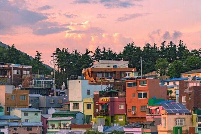 [Photography Tour] Busan Night Tour (Max. 7 Pax) - Exploring the Itinerary: What to Expect