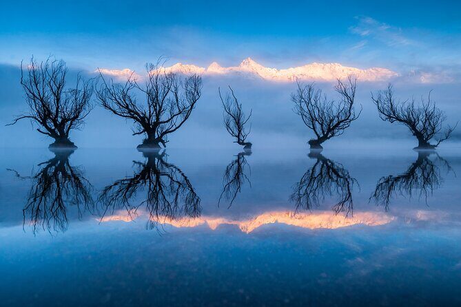 Photography Tour from Queenstown to Glenorchy - 1/2 Day - The Sum Up