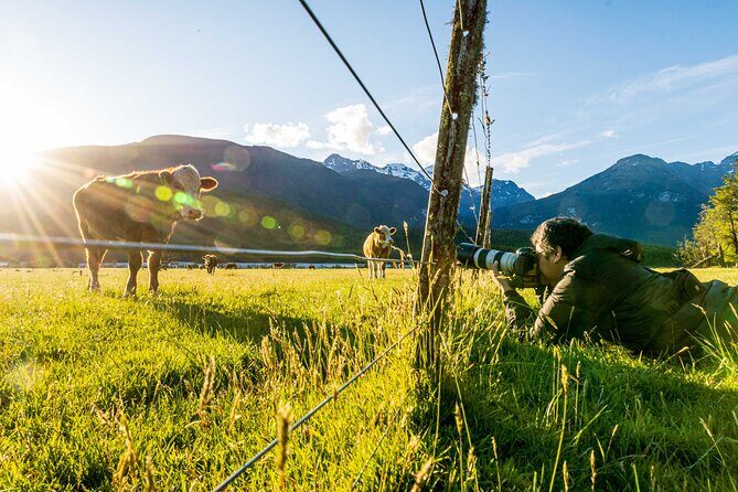 Photography Tour from Queenstown to Glenorchy - 1/2 Day - FAQ