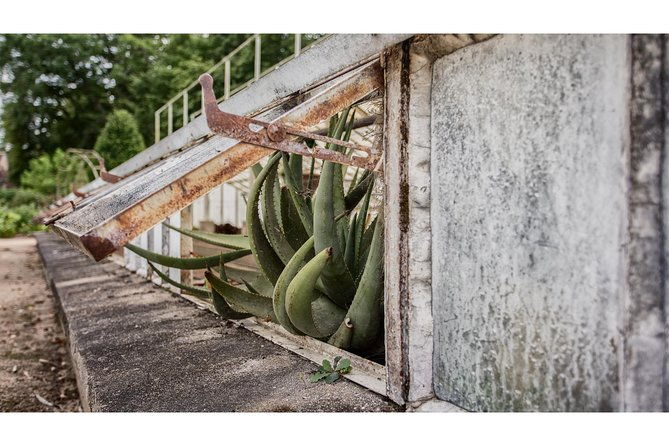 photography-tour-of-chateau-chenonceau